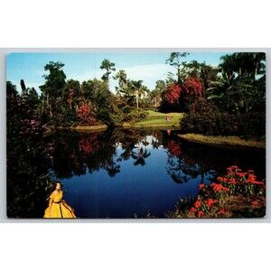 Postcard Florida Cypress Gardens Blossom Time Fairyland of Flowers Tropical 1950